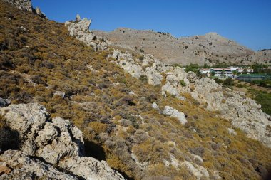 Ağustos ayında Akdeniz bitki örtüsü ve arka planda Kolympia mimarisi, Rodos, Yunanistan
