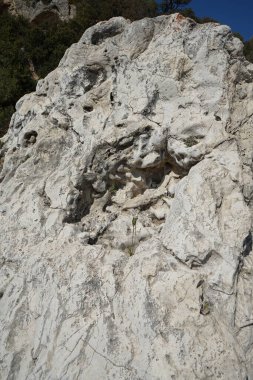 Loutani nehrinin kavrulmuş nehir yatağının çevresindeki muhteşem dağ manzarası. Kolympia, Rodos, Yunanistan 