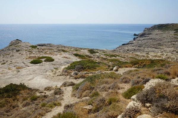 Magnifique Paysage Méditerranéen Avec Une Végétation Résistante Sécheresse Dans Une — Photo