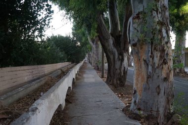 Bir su kemeri suyu kaynaktan çok uzaktaki bir dağıtım noktasına taşımak için inşa edilmiş bir su yolu. Rodos adasının mimarisi ve simgeleri. Kolympia, Rodos, Yunanistan 
