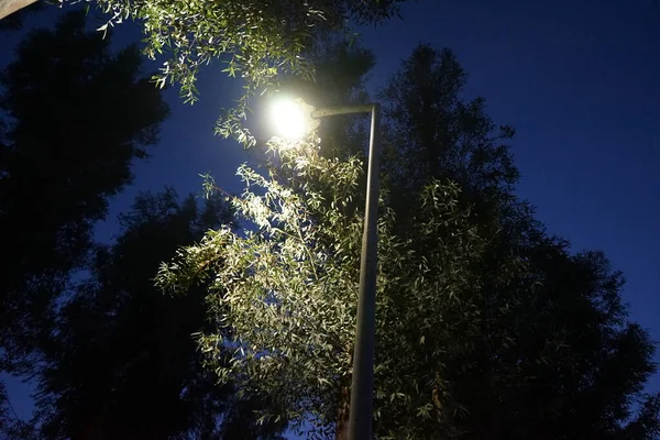 道路脇の電気ランプ コリンピア ロードス島 ギリシャ — ストック写真