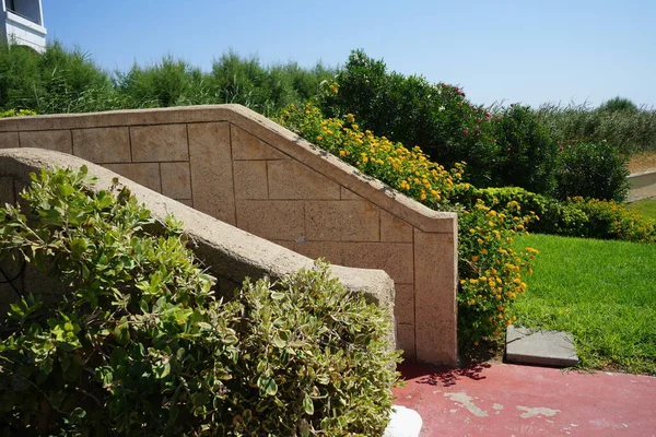 Una Hermosa Escalera Con Florecientes Macizos Flores Lantana Camara Lantana — Foto de Stock