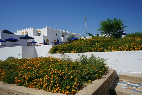 ランタナ カマラの花壇が咲く美しい階段 ランタナ カマラ Lantana Camara ランタナ Lantana スペイン国旗 Spain — ストック写真