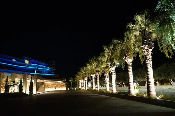 Aleja Palmowa Oświetlona Nocy Strefie Rekreacyjnej Kolympia Rodos Grecja — Zdjęcie stockowe