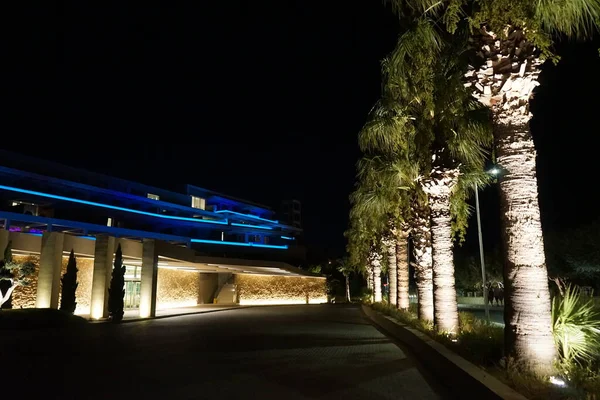 Palm Vicolo Illuminato Notte Nella Zona Ricreativa Olimpia Rodi Grecia — Foto Stock