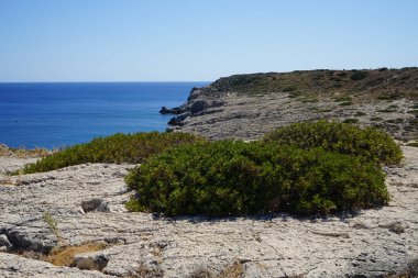 Kolimpia, Rodos, Yunanistan 'ın kayalık kıyı şeridi ile muhteşem deniz manzarası   