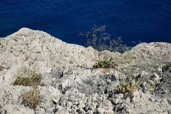 Herrliche Meereslandschaft Mit Felsiger Küste Von Kolimpia Rhodos Griechenland — Stockfoto