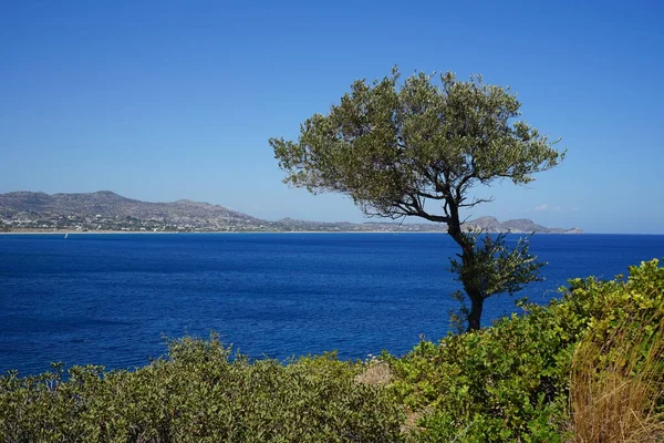 Herrliche Meereslandschaft Mit Felsiger Küste Von Kolimpia Rhodos Griechenland — Stockfoto