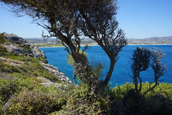 Herrliche Meereslandschaft Mit Felsiger Küste Von Kolimpia Rhodos Griechenland — Stockfoto