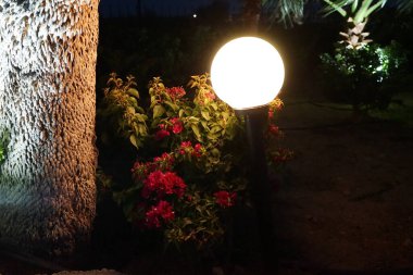 Muhteşem arka ışıklandırmalı Akdeniz bitkileriyle sokak aydınlatması. Kolympia, Rodos, Yunanistan