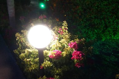 Muhteşem arka ışıklandırmalı Akdeniz bitkileriyle sokak aydınlatması. Kolympia, Rodos, Yunanistan