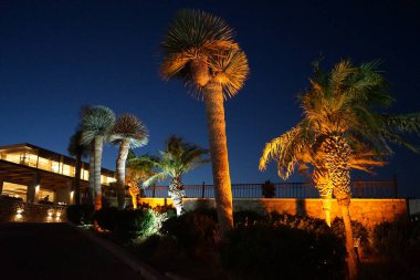Muhteşem arka ışıklandırmalı Akdeniz bitkileriyle sokak aydınlatması. Kolympia, Rodos, Yunanistan