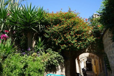Yunanistan 'ın tarihi Rodos kentinde, Akdeniz bitki örtüsü ve çiçeklerin açtığı güzel bir bahçe  