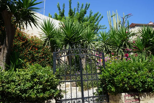 ギリシャ ロードス島の歴史的な街で9月に開花地中海性植物や花を持つ美しい庭園 — ストック写真