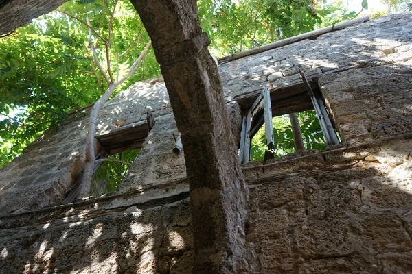 Arbre Germé Par Fenêtre Une Maison Médiévale Ruine Dans Ville — Photo