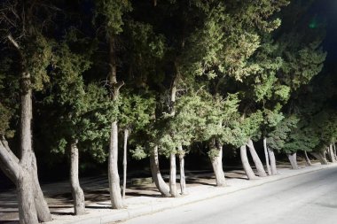 Illuminated roadside alley at night in Kolimpia, Rhodes, Greece 