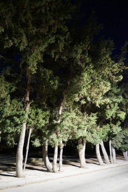 Illuminated roadside alley at night in Kolimpia, Rhodes, Greece 