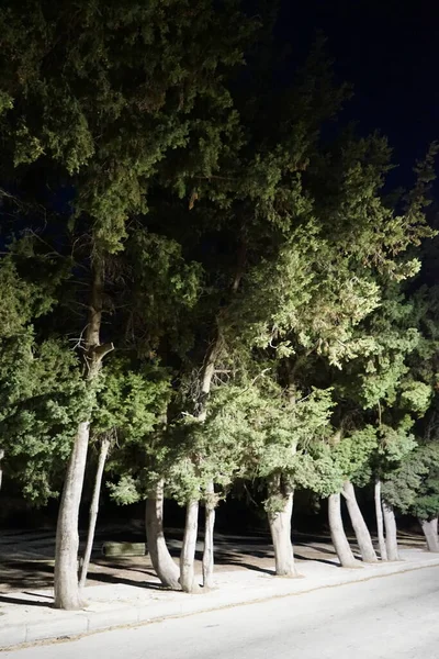 Illuminated roadside alley at night in Kolimpia, Rhodes, Greece 