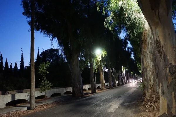 Aquaduct Eucalyptus Alley Village Kolympia Aqueduct Watercourse Constructed Carry Water — Stockfoto