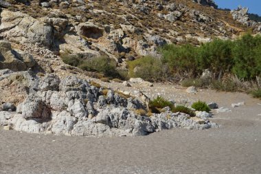 Dağ keçileri dağ yamacında. Kolimpia, Rodos, Yunanistan  