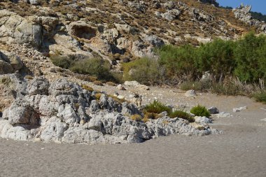 Dağ keçileri dağ yamacında. Kolimpia, Rodos, Yunanistan  