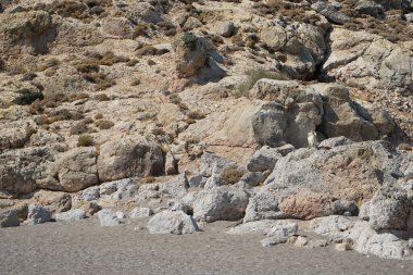 Dağ keçileri dağ yamacında. Kolimpia, Rodos, Yunanistan  