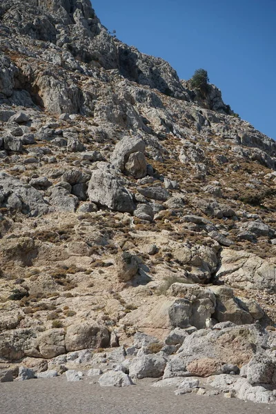 Dağ keçileri dağ yamacında. Kolimpia, Rodos, Yunanistan  