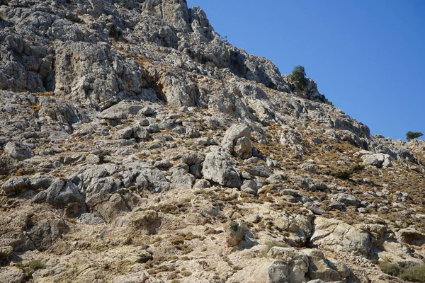 Dağ keçileri dağ yamacında. Kolimpia, Rodos, Yunanistan  