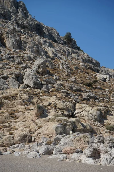 Dağ keçileri dağ yamacında. Kolimpia, Rodos, Yunanistan  