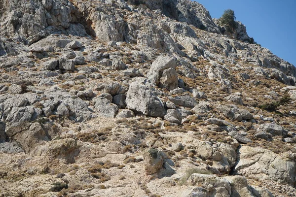 Dağ keçileri dağ yamacında. Kolimpia, Rodos, Yunanistan  