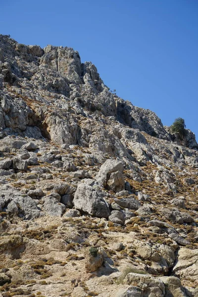 Дикие Горные Козы Склоне Горы Колимпия Род Греция — стоковое фото
