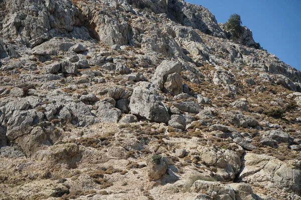 Wild Mountain Goats Mountainside Kolimpia Rhodes Greece — Stock Photo, Image