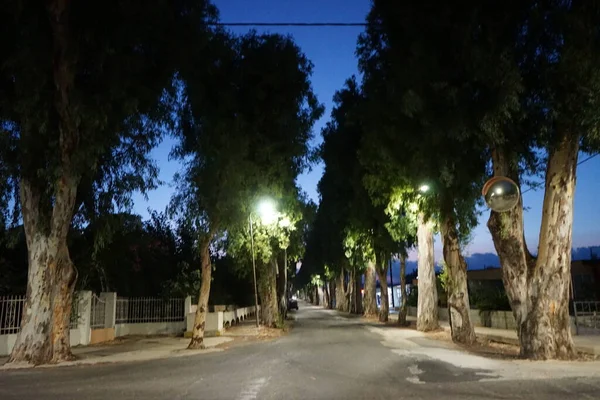 Aquaduct Eucalyptus Alley Village Kolympia Aqueduct Watercourse Constructed Carry Water — Stockfoto