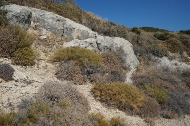 Beautiful mountain landscape with drought-resistant vegetation at Theotokos hill in Kolimpia, Rhodes, Greece 