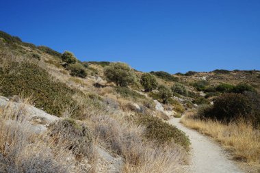 Beautiful mountain landscape with drought-resistant vegetation at Theotokos hill in Kolimpia, Rhodes, Greece 