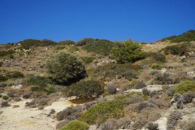 Beautiful mountain landscape with drought-resistant vegetation at Theotokos hill in Kolimpia, Rhodes, Greece 