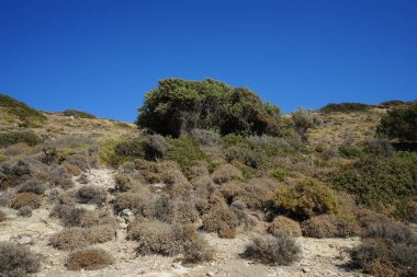 Beautiful mountain landscape with drought-resistant vegetation at Theotokos hill in Kolimpia, Rhodes, Greece 
