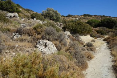 Beautiful mountain landscape with drought-resistant vegetation at Theotokos hill in Kolimpia, Rhodes, Greece 