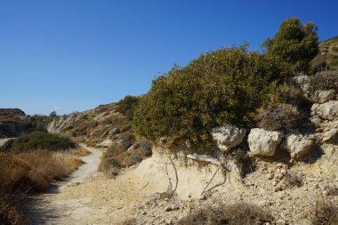 Beautiful mountain landscape with drought-resistant vegetation at Theotokos hill in Kolimpia, Rhodes, Greece 