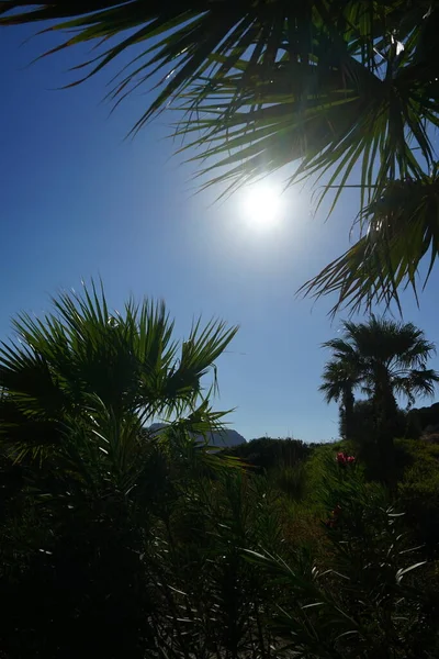 Sun Shining Beautiful Park Landscape Recreation Area Kolimpia Rhodes Greece — Fotografia de Stock