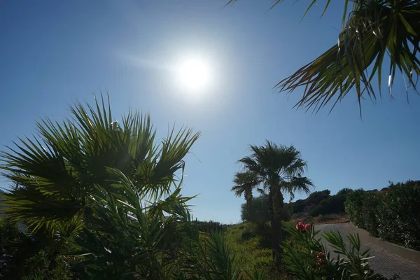 Sun Shining Beautiful Park Landscape Recreation Area Kolimpia Rhodes Greece — Stock Photo, Image