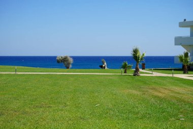 Capra aegagrus descended from the mountains into the resort area. The wild goat or common ibex, Capra aegagrus, is a wild goat species. It has been listed as near threatened on the IUCN Red List. Kolimpia, Rhodes, Greece