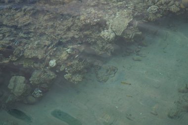 Sahil mercan resifinin üst görüntüsü. Resif, canlı organizmalar tarafından oluşturulan biyojeolojik bir yapıdır. Dahab, Güney Sina Valiliği, Mısır   