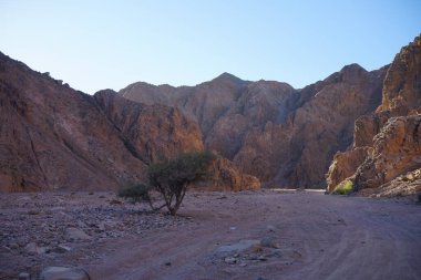 Malakot Dağı vahası civarındaki güzel dağ manzarası, Wadi Gnai, Dahab, Güney Sina Valiliği, Mısır  