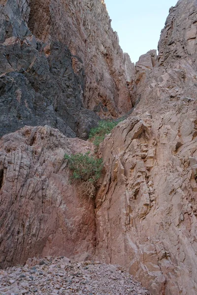 Bela Paisagem Montanhosa Nas Proximidades Oásis Montanha Malakot Wadi Gnai — Fotografia de Stock