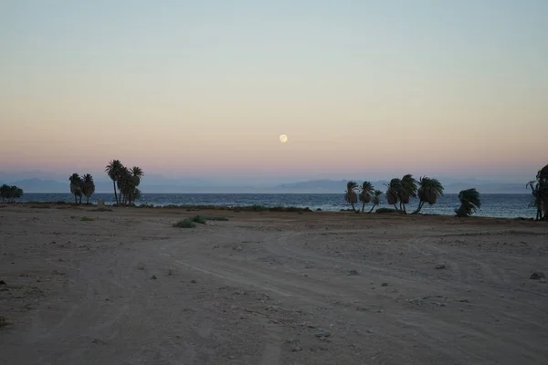 Luna Sobre Golfo Aqaba Mar Rojo Octubre Dahab Provincia Del —  Fotos de Stock