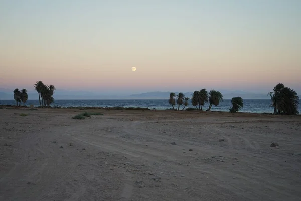 Lune Dessus Golfe Aqaba Mer Rouge Octobre Dahab Gouvernorat Sinaï — Photo