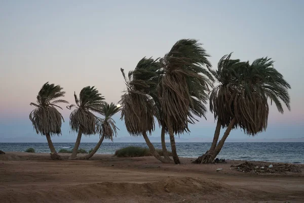 Φεγγάρι Πάνω Από Τον Κόλπο Της Άκαμπα Στην Ερυθρά Θάλασσα — Φωτογραφία Αρχείου