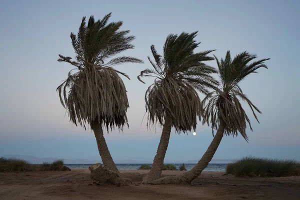 Lua Sobre Golfo Aqaba Mar Vermelho Outubro Dahab Sul Sinai — Fotografia de Stock