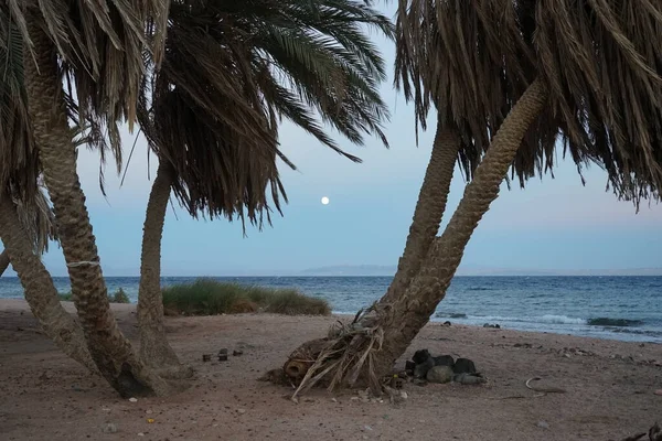 Luna Sul Golfo Aqaba Nel Mar Rosso Nel Mese Ottobre — Foto Stock